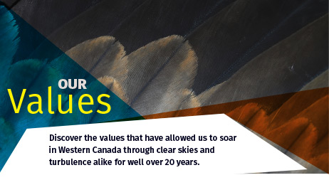 Our Values